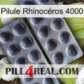 Pilule Rhinocéros 4000 31